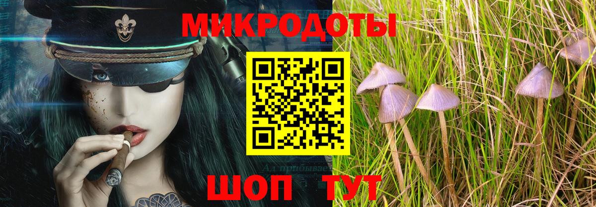 Псилоцибиновые грибы Psilocybine cubensis Луга