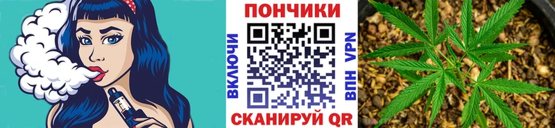 Конопля марихуана Луга