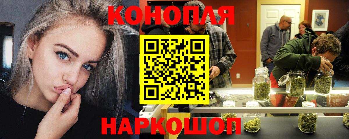 Канабис OG Kush Луга
